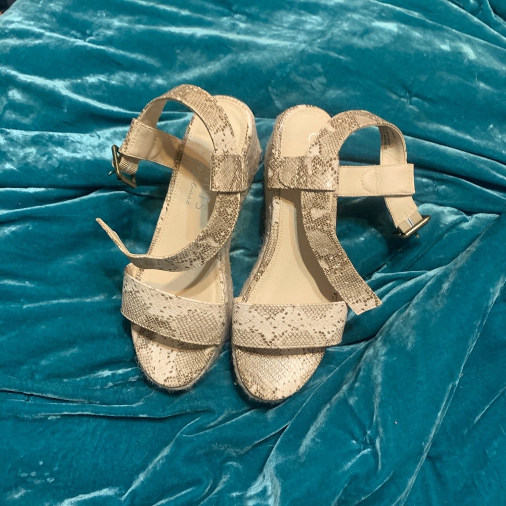 Snake wedges